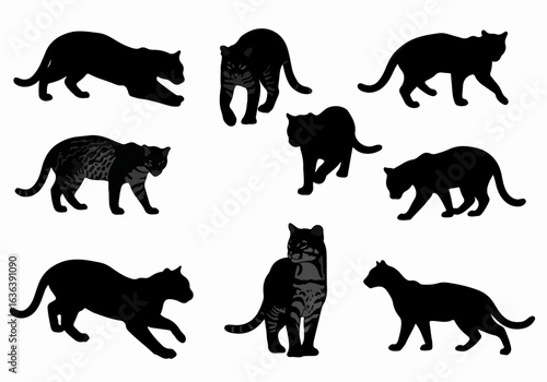 Collection of Diverse Cat Silhouettes and Patterned Wild Cats in Various Poses on White Background
