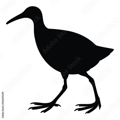 silhouette of king rail bird isolated on white background
