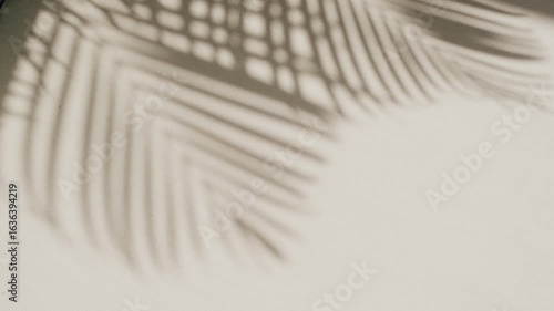 
An abstract, minimalist image of the shadow of a palm frond cast on a textured wall, creating a beautiful pattern of light and shade for design and aesthetic themes.