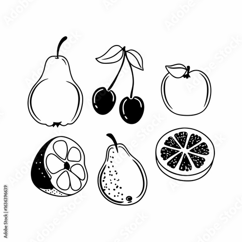 vector illustration of sets of fruits