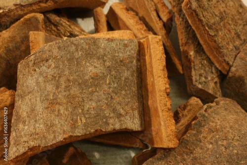 Cinnamomum cassia (Gye-pi) helps warm the body, improve circulation, and reduce inflammation in Korean traditional medicine. Photographed in Korea.