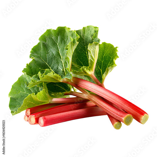 Fresh Rhubarb Stalks with Green Leaves on Black Background