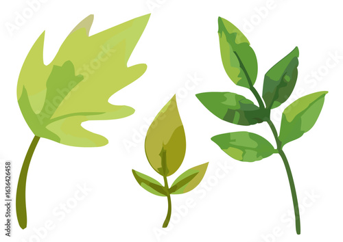 Three cartoon-style green leaves of varying shapes and sizes, showcasing natural leaf designs