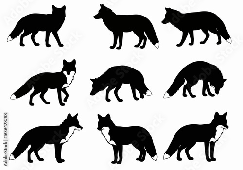 Collection of black fox silhouettes in various poses, some with white-tipped tails and chests, isolated on a white background, ideal for graphic design and illustration.