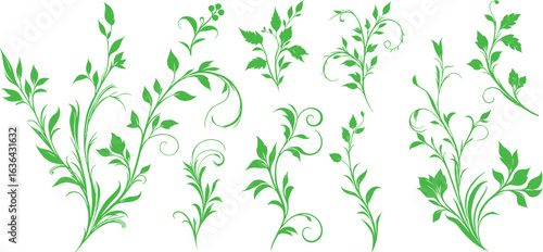Liana plants. Tropical climbing creepers branches with moss, rainforest flora flat vector illustration isolated on transparent background