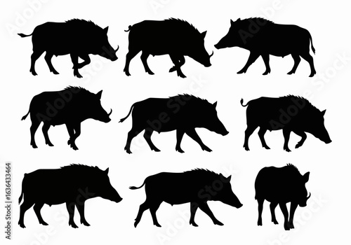 Collection of Wild Boar Silhouettes: Detailed Black Hog and Pig Vector Set on White Background