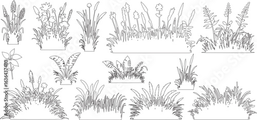 Plant elevation line silhouettes outline - grass, shrub, tree set. vector