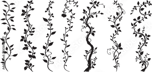 vine plant jungle climbing set isolated on transparent background vector illustration