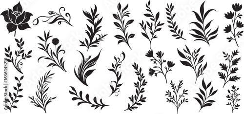 Big collection flowers, leaves, tree branches, berries. silhouettes of ornamental flower plants. Isolate on transparent background. Vector illustration