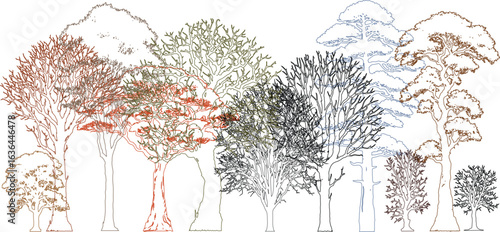 Minimal style cad tree autumn line drawing, Side view, set of section wetland forest outline for landscape design. Architectural Drawings, Vector illustration
