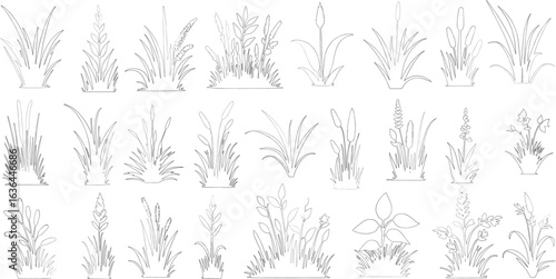 Plant elevation line silhouettes outline - grass, shrub, tree big set vector, grass line cad and silhouettes isolated on white background.