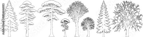 Minimal style cad tree line drawing, set of trees elements outline symbol for architecture and landscape design drawing. Vector illustration