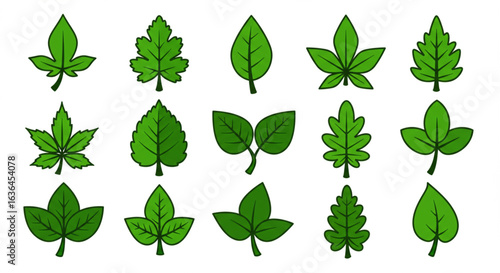 set of green leaves