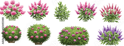 Blooming flower bushes and green garden shrubs set, spring floral hedge clipart, colorful pink and purple foliage illustrations