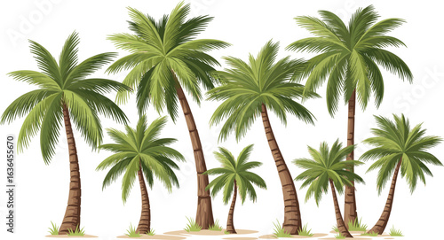 Cartoon palm trees with lush green fronds on sandy ground, tropical beach vegetation, summer island plants vector illustration