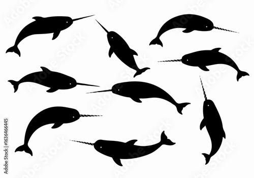 Various black narwhal silhouettes on a white background, showcasing different swimming and diving poses of the majestic arctic whale.