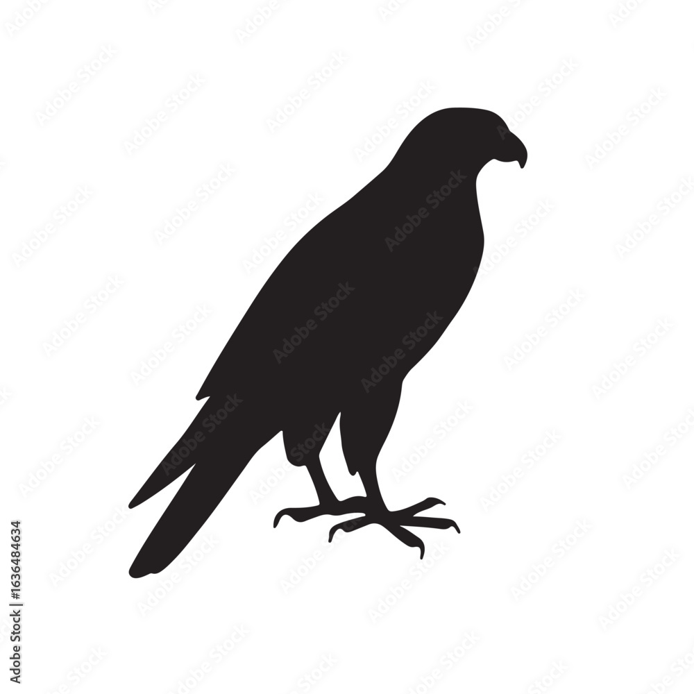 Fototapeta premium Peregrine Falcon silhouette