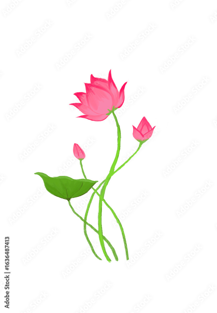 Obraz premium The Lotus