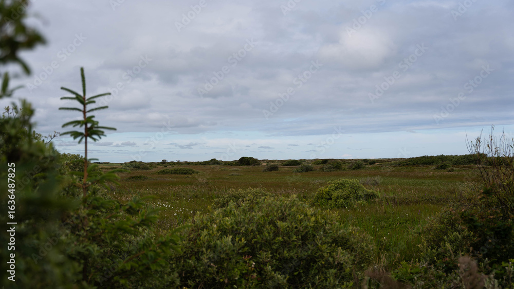 Skagen Natur Skagen Natur