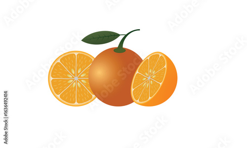 Realistic vector illustration of a whole orange with a green leaf and two sliced halves, showing juicy texture, isolated on a white background. Perfect for food, fruit, and healthy lifestyle designs.
