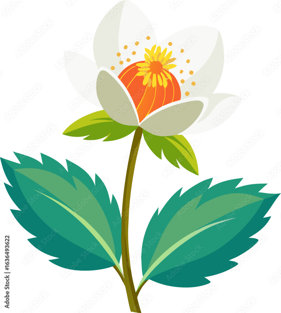 Obraz premium Mountain Avens