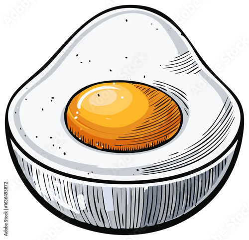 Halved egg illustration of hard boiled egg showing white and yolk with sketch design for health food.