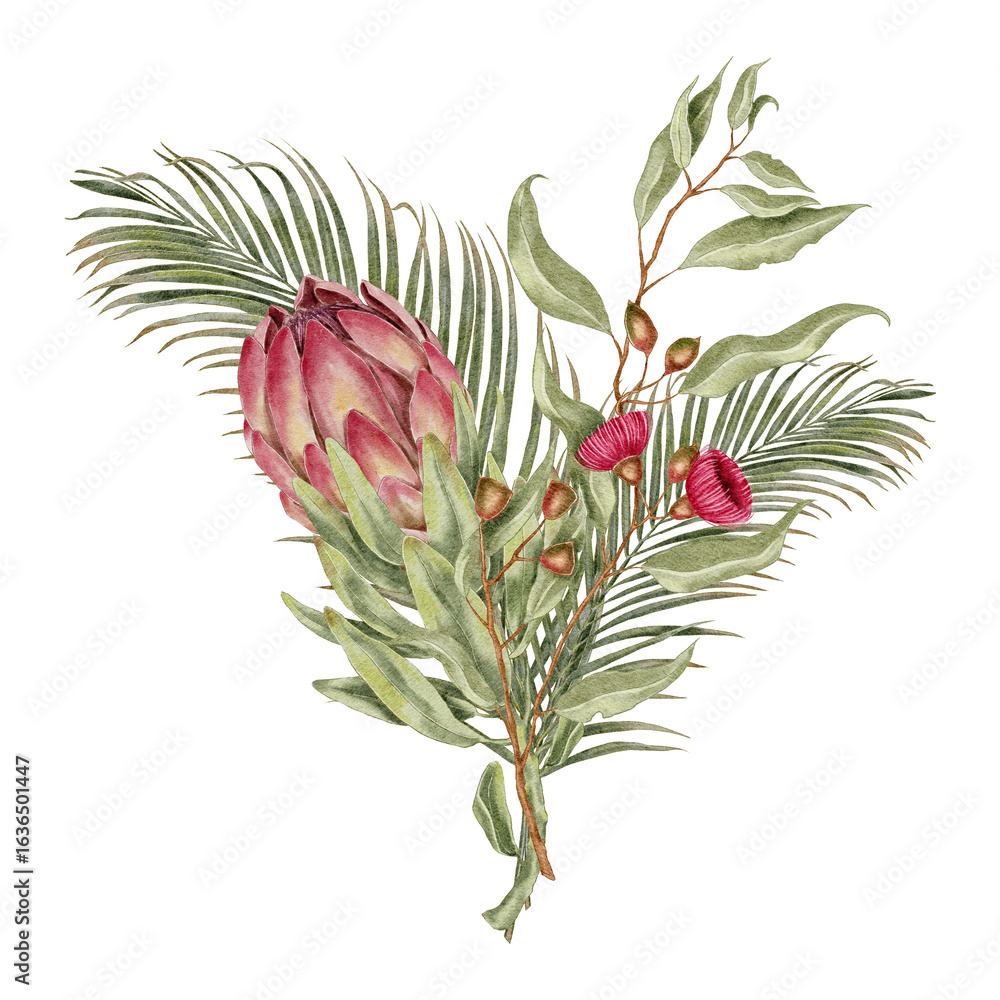 Fototapeta premium Watercolor botanical bouquet with pink protea, eucalyptus pods red gum blossoms and palm leaves in tropical style. for eco packaging wedding invitations branding cosmetics and jungle-inspired designs.