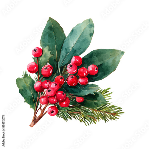 My Watercolor illustration Christmas holly berries with pine leave painting isolated on a white background, illustration, AI painting design, vector set, eps format, My illustration design, collection