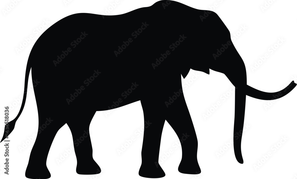 Fototapeta premium Elephant silhouette
