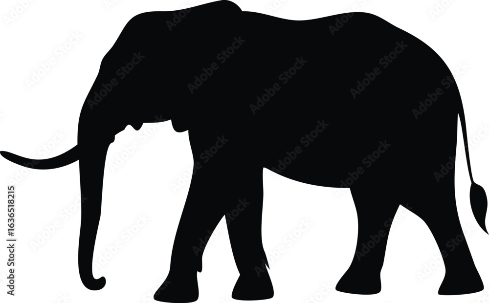 Fototapeta premium Elephant silhouette
