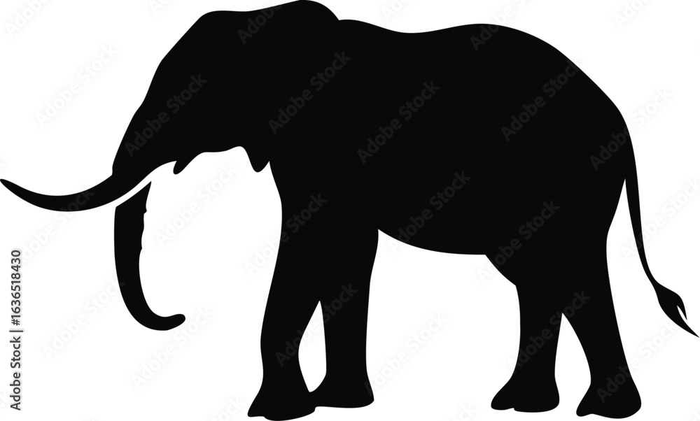 Fototapeta premium Elephant silhouette