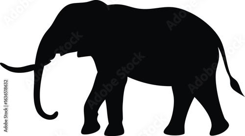 Elephant silhouette