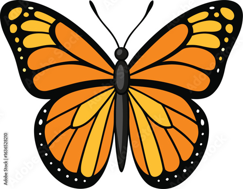 Vibrant Monarch Butterfly Illustration with Orange and Black Wing Pattern on White