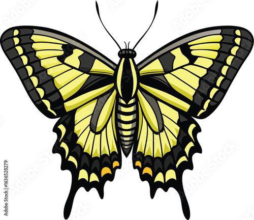 Beautiful yellow and black butterfly illustration with intricate wing patterns on white background
