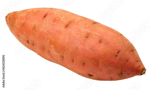 Fresh organic sweet potato isolated on white background with healthy natural texture view closeup