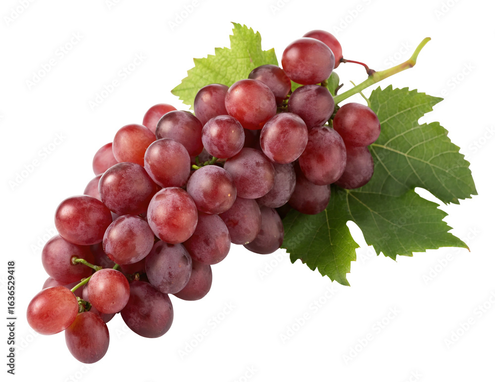 Fototapeta premium Fresh red grapes with green leaves isolated on white background natural fruit photography image