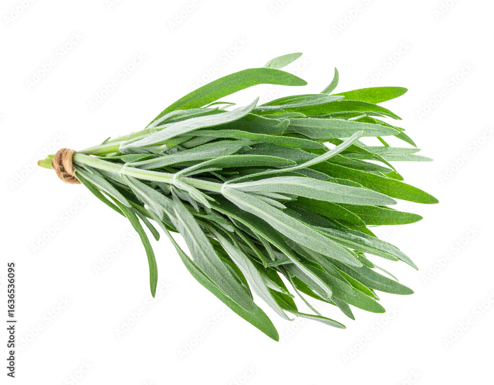Fototapeta premium “Fresh Tarragon Bunch with Vibrant Green Leaves, isolated on a transparent background”.