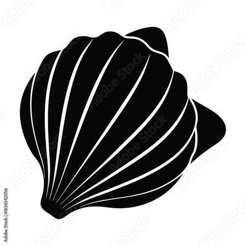 SEASHELL VECTOR 