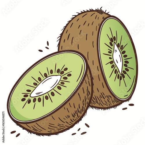 kiwi vector