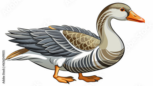 
very beautiful 
Greylag goose (Anser anser). Wild goose, isolated on white background