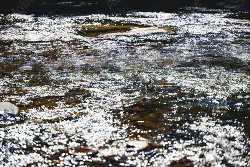 Sparkling surface of water in a mountain stream