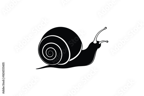 Elegant Snail Illustration in Black and White Silhouette Style on a Clean White Background Perfect for Nature and Wildlife Designs silhouette