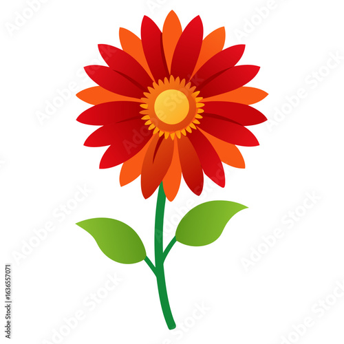 red flower isolated on white
