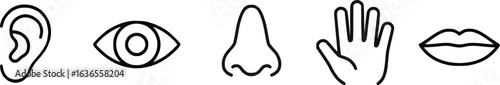 set icons collection of five human senses featuring ear, eye, nose, hand, and mouth displayed in a horizontal row , minimal style, emphasizing sensory perception, human anatomy. Concept of human sense