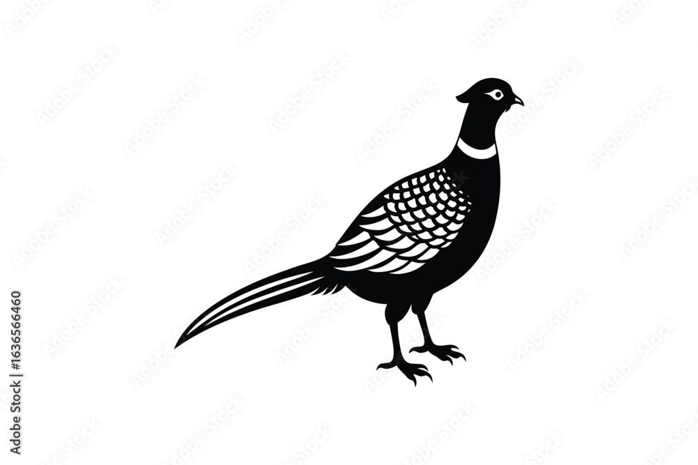 Fototapeta premium Elegant Pheasant Illustration in Black and White Silhouette Style on a Clean White Background silhouette