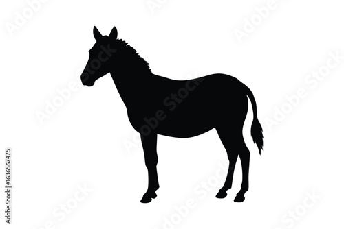 Elegant Zebra Standing Still in Black Silhouette Style on a White Background silhouette