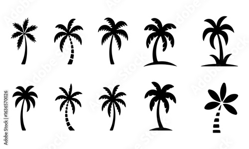 Silhouette Palm Tree Icons Variety Of Styles And Poses tropical nature