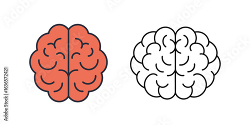 Brain Vector Icon Set – Colored and Line Art Style Isolated on White