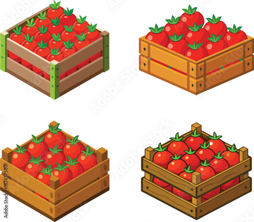 Isometric view of four crates full of ripe red tomatoes with green leaves