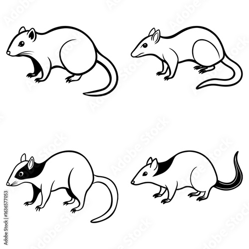 Four outlined rodents in various poses including sitting standing and facing different directions on white